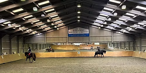 Flatwork with Becci Hadley at Stretcholt, 2nd December