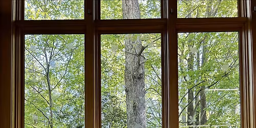 Sunset Stillness: Yoga, Reiki, and Deep Rest