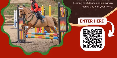 Stressless SJ XPoles 35cm - 1m Xmas Edition