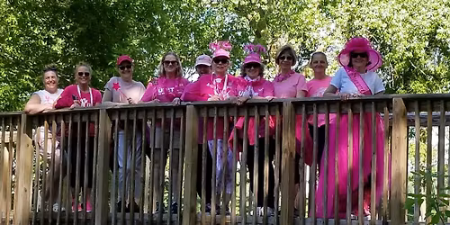 Sisters Strong North Metro local Walk for the Cure