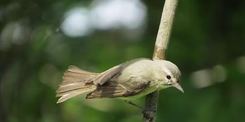 Baker Wetlands (Joint trip with Lawrence Public Library)