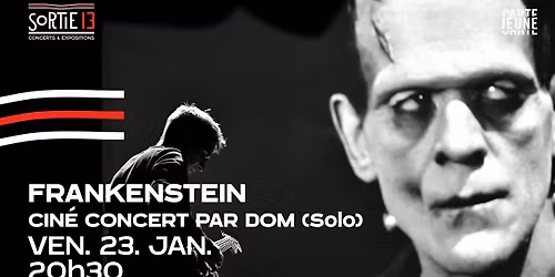FRANKENSTEIN : Cin\u00e9 Concert par Dom (Solo)