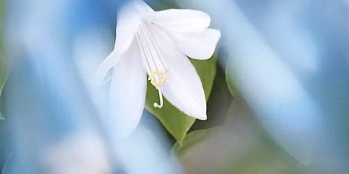 Wie kann ich mit meiner Trauer umgehen?
