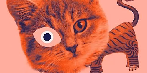 1. Tag Sonderausstellung \u201eKult Katze!\u201c