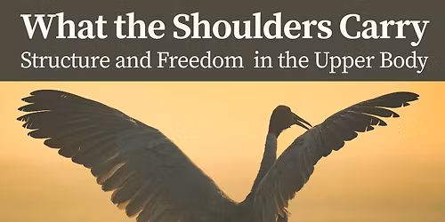 What the Shoulders Carry: Structure and Freedom in the Upper Body