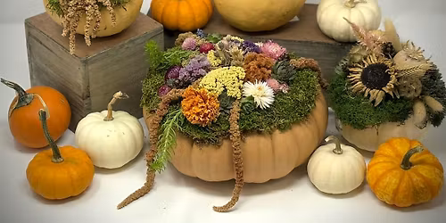 Pumpkin Centerpiece Workshop - Create Your Own Thanksgiving Centerpiece