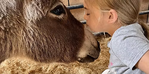 Private Donkey Encounter