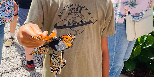 Saturday Family Show