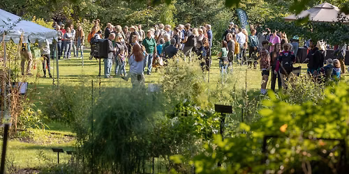 BealFest: Wild at Heart