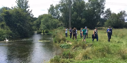 Aquatic Plants (Rivers and Ponds)