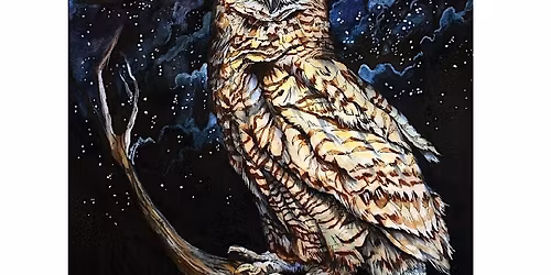 Beginning Drawing & Painting for Teens