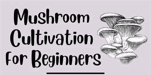 Mushrooms for Beginners - No experience required!