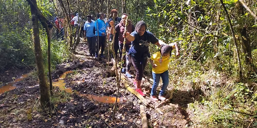 Saiwa Safari Walk 2025