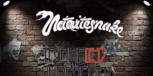 NotQuiteSnake\/Trampled Underfoot