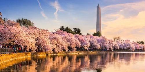 Pitt Night at the Nationals