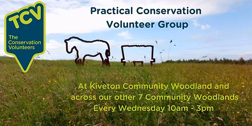 Practical Conservation Volunteer Group at Kiveton Community Woodland