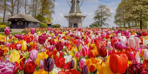 Amsterdam & Keukenhof Weekender from Kaiserslautern