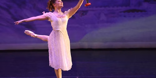 The Nutcracker