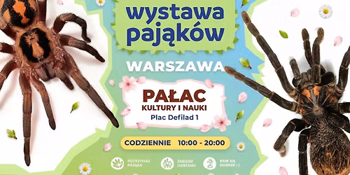 Wystawa Paj\u0105k\u00f3w w Warszawie \ud83d\udd77\ufe0f Pa\u0142ac Kultury i Nauki Warszawa | CODZIENNIE od 10:00 do 20:00