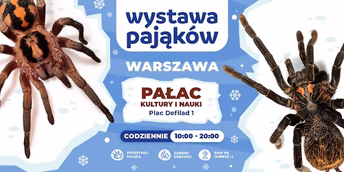 Wystawa Paj\u0105k\u00f3w \ud83d\udd77\ufe0f Pa\u0142ac Kultury i Nauki Warszawa | CODZIENNIE od 10:00 do 20:00