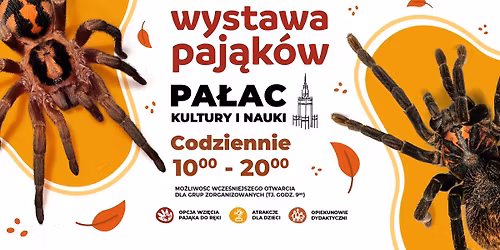 Wystawa Paj\u0105k\u00f3w \ud83d\udd77\ufe0f Pa\u0142ac Kultury i Nauki Warszawa | CODZIENNIE od 10:00 do 20:00
