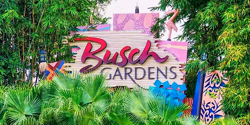 Overnight T rip To Busch Garden Tampa Bay