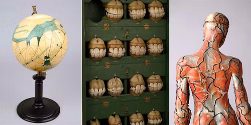 Whipple Highlights Tour