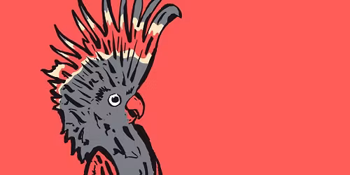 Melbourne International Comedy Festival Roadshow