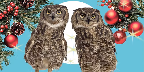 \ud83c\udf84\u2728CHRISTMAS MARKET & FUNDRAISER! \u2728\ud83e\udd89