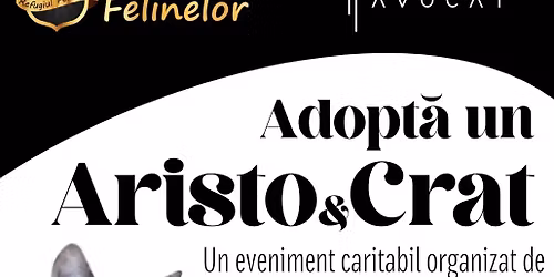 Adopt\u0103 un AristoCrat