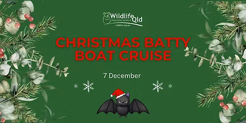 Batty Boat Xmas Cruise 2025
