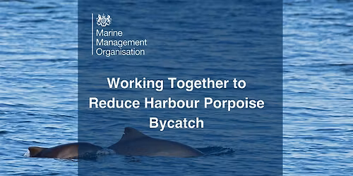 Working Together to Reduce Harbour Porpoise Bycatch (Brighton)