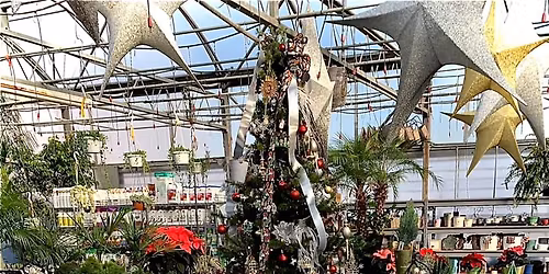 Christmas in the Gardens