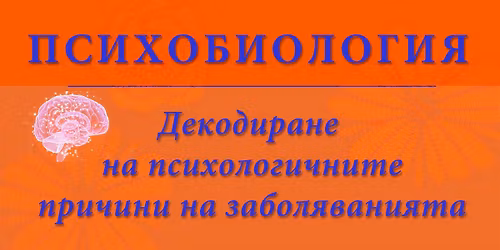 \u0412\u0437\u0430\u0438\u043c\u043e\u043e\u0442\u043d\u043e\u0448\u0435\u043d\u0438\u044f\u0442\u0430 \u043f\u0440\u0435\u0437 \u043f\u0440\u0438\u0437\u043c\u0430\u0442\u0430 \u043d\u0430 \u041f\u0441\u0438\u0445\u043e\u0431\u0438\u043e\u043b\u043e\u0433\u0438\u044f\u0442\u0430