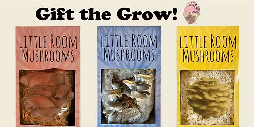 Little Room Mushrooms Pop-Up