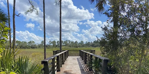 Members-Only: Painting in Nature