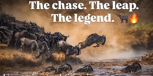 6-Day Wildebeest Migration Safari