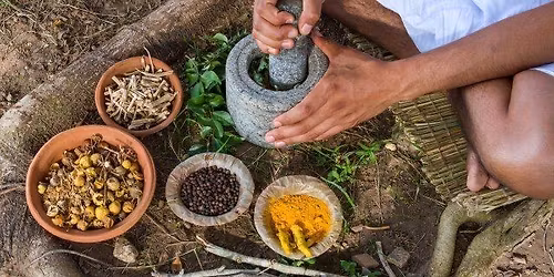 Intro to Ayurveda