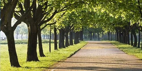 Rainbow Rambles - Sutton Park