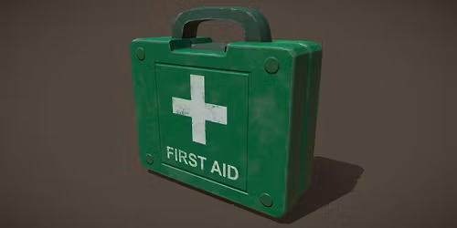 Basic Life Support for Healthcare Professionals Level 2 Classroom Course