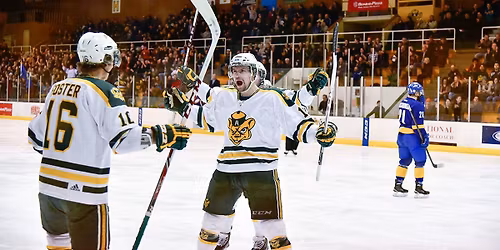 Alberta Golden Bears vs. Mount Royal Cougars