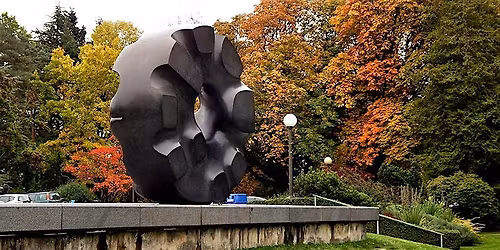 Volunteer Park Tree Tour