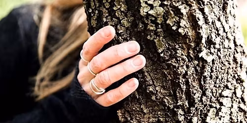 Weekend Wellness: Forest Bathing in Hothfield Heathlands
