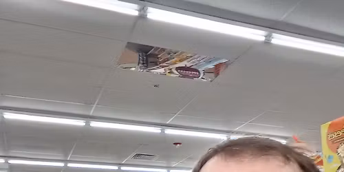 suicide magnets, white picket fence, blues dream box,Baylies Band, the stereo types