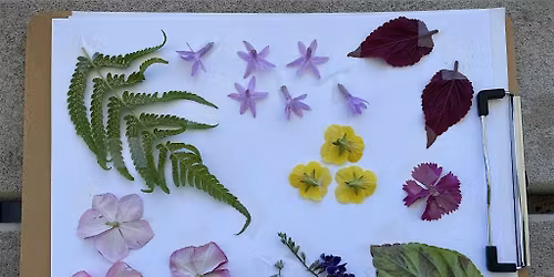 12-16-2025  Horticulture in Arts and Crafts