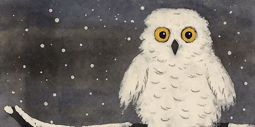 2nd Saturdays for Families: Snowy Owl