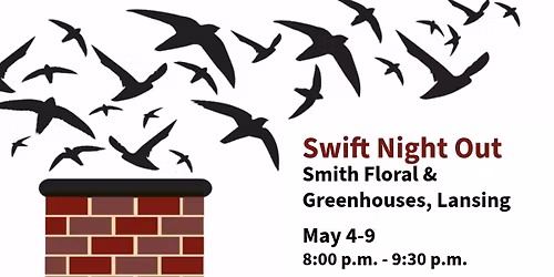 Swift Night Out - Lansing