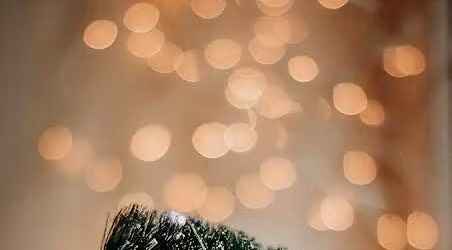 Mystery Meat Monday: December 2025