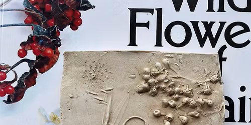 Bas Relief Botanical Plaster Workshop