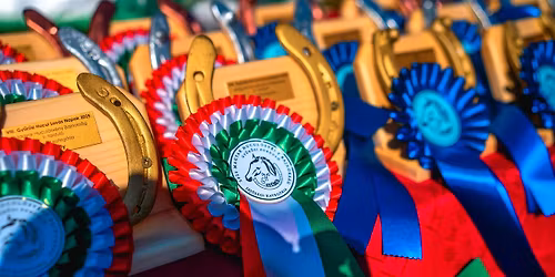 IX. Gy\u0171r\u0171si Lovas Napok